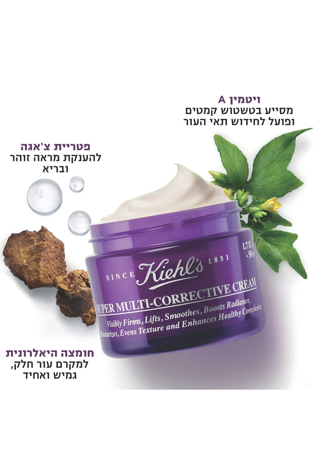 תמונת מוצר 2