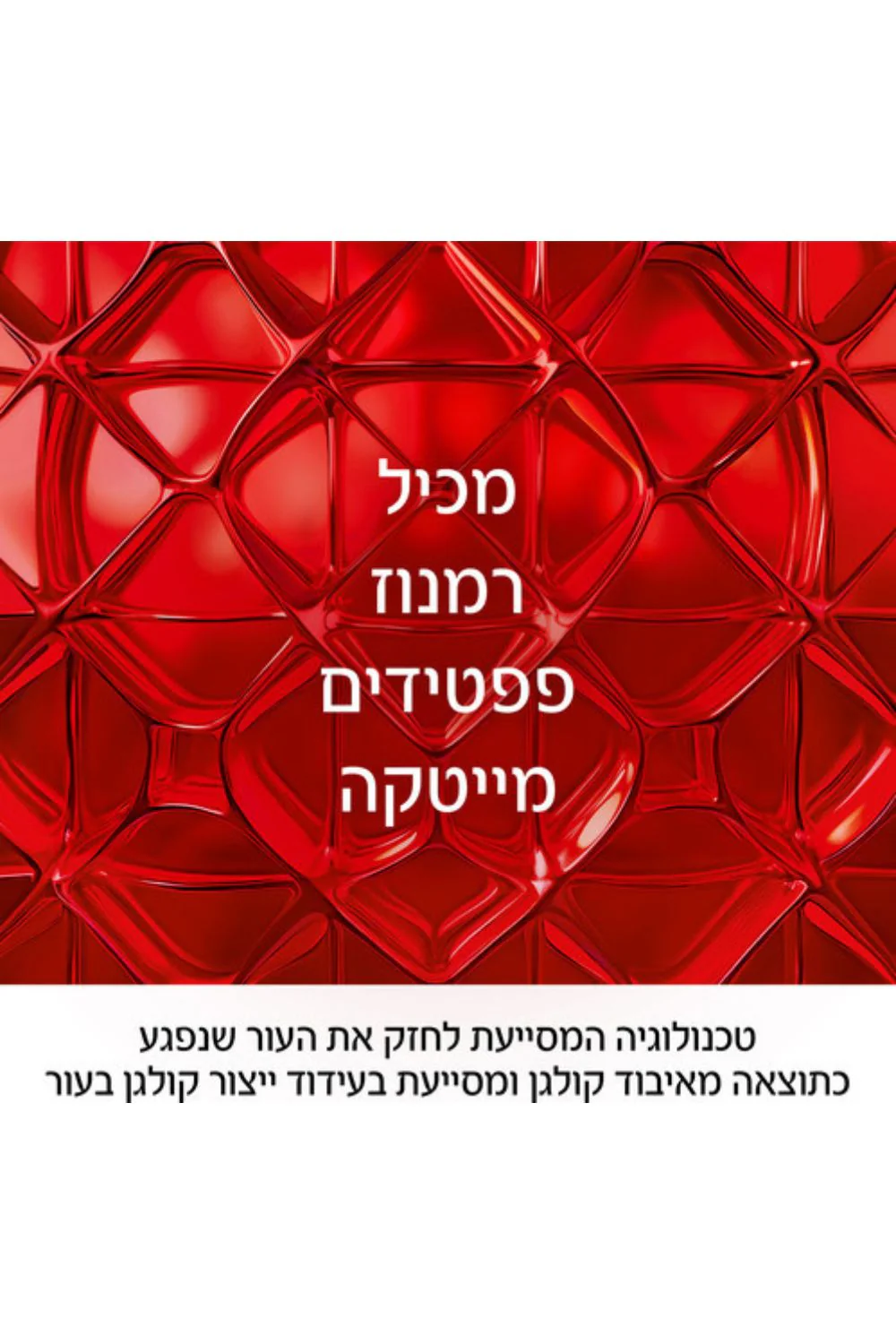 תמונת מוצר 3