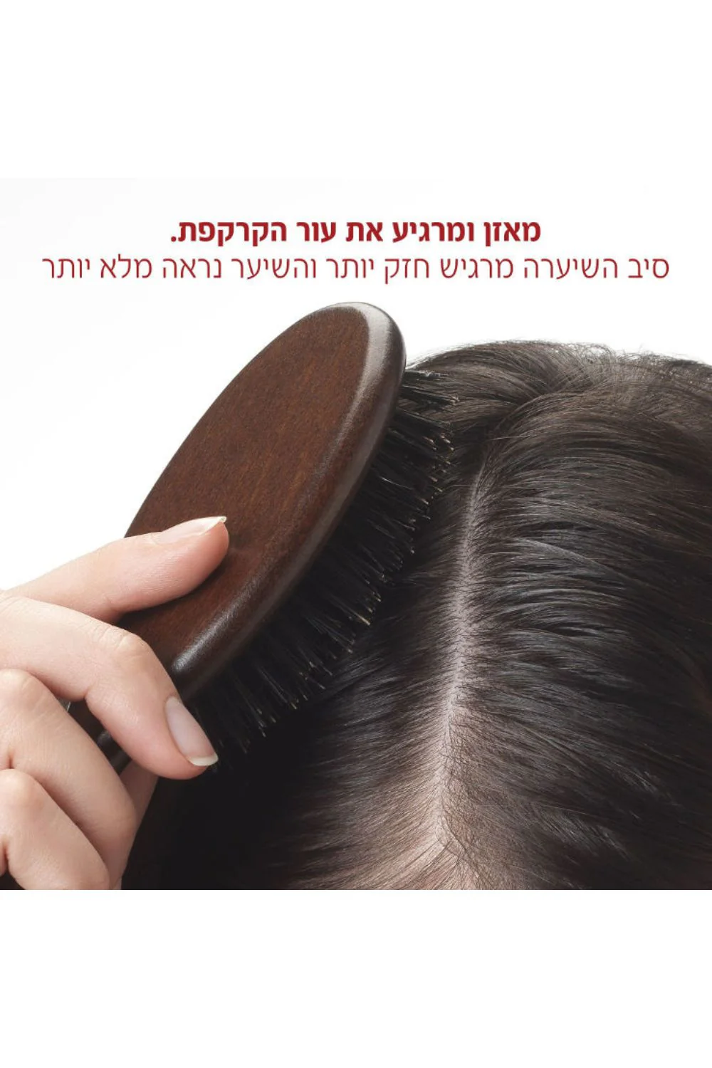 תמונת מוצר 2