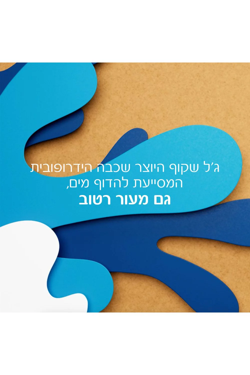 תמונת מוצר 4