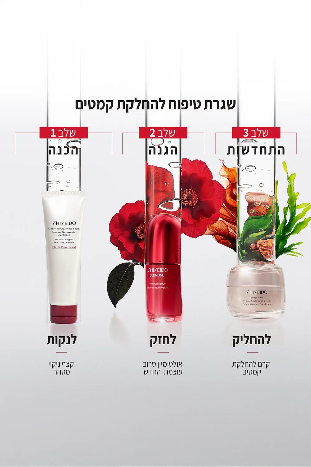 תמונת מוצר 3