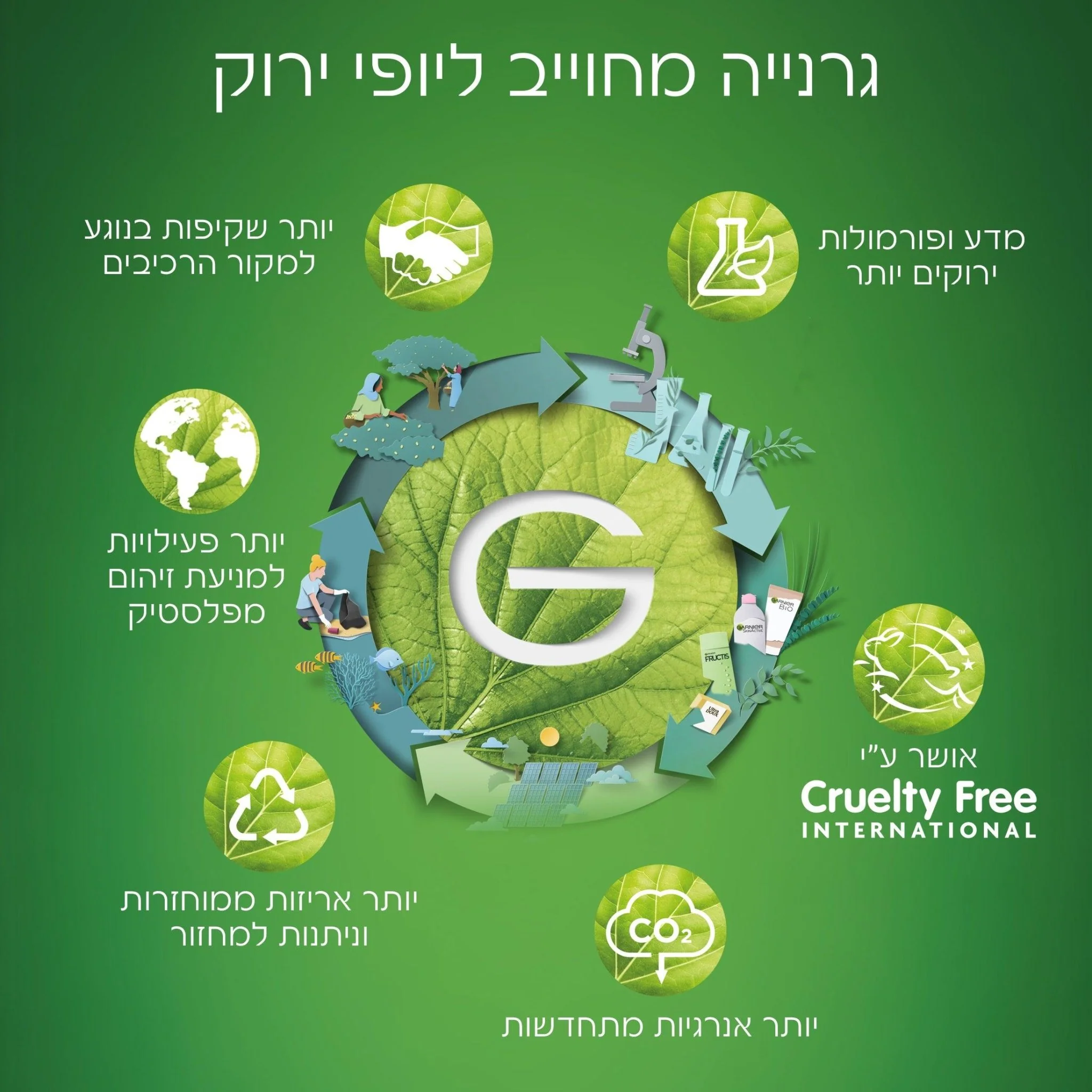 תמונת מוצר 5