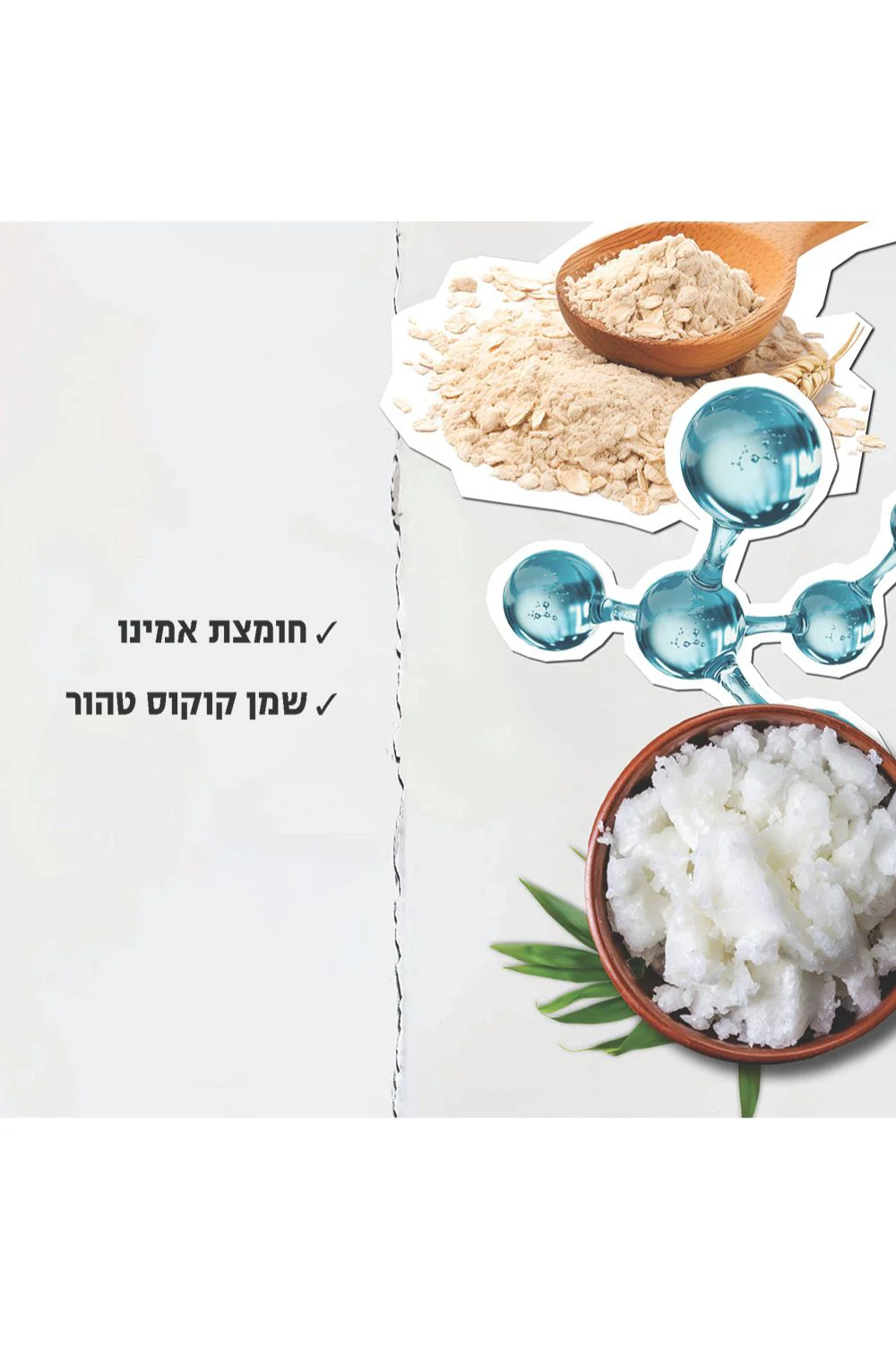 תמונת מוצר 2