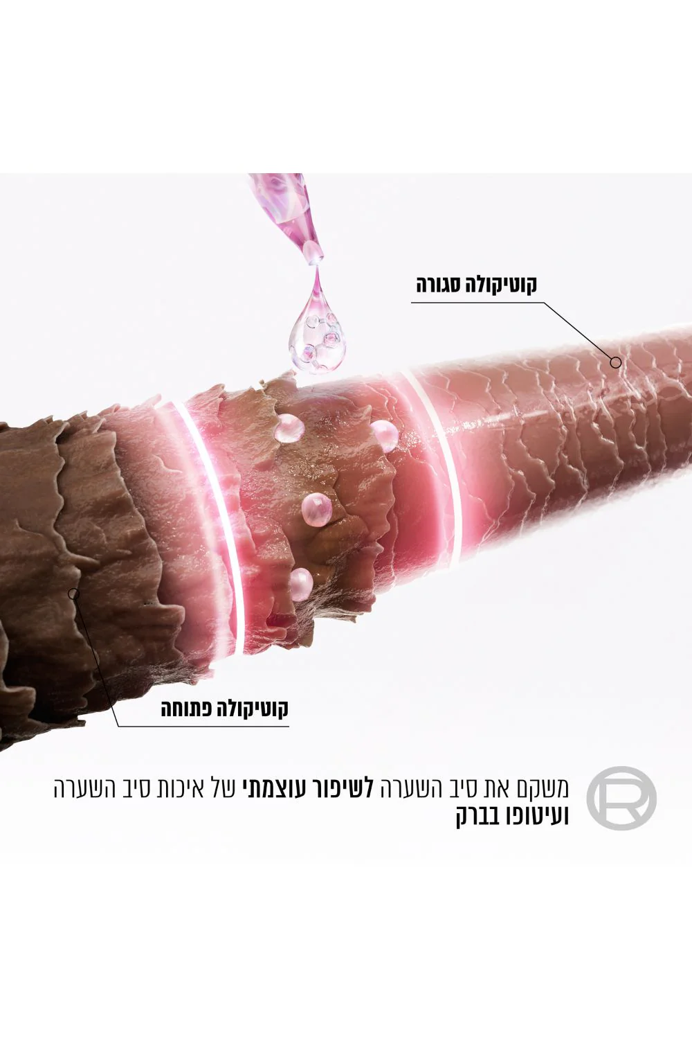 תמונת מוצר 3