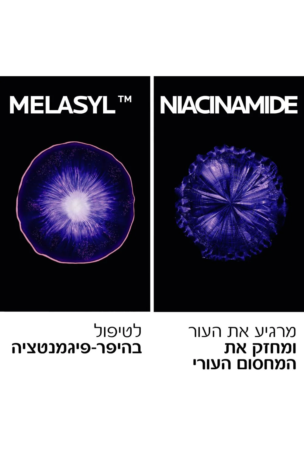 תמונת מוצר 3