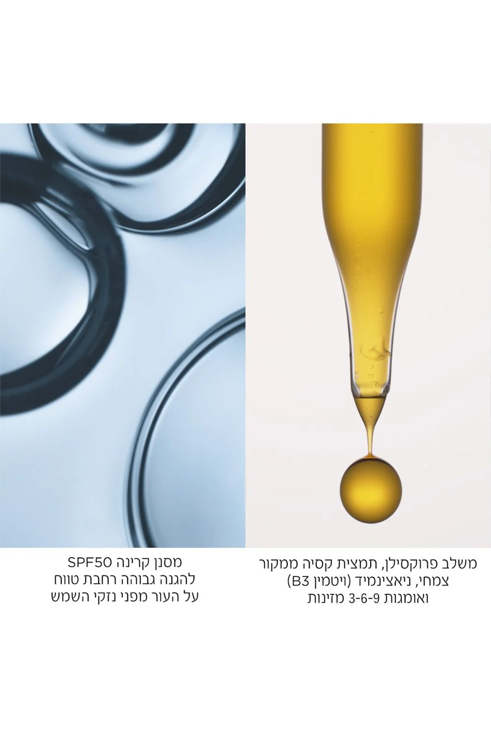 תמונת מוצר 4